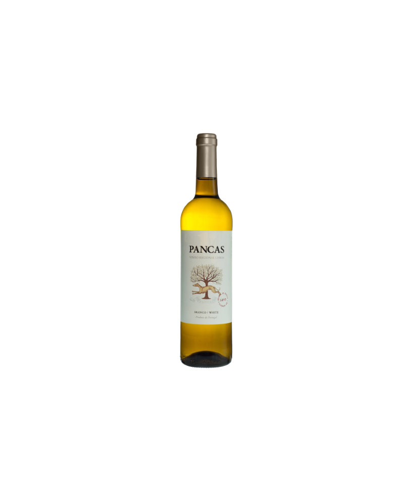 Pancas 2019 White Wine