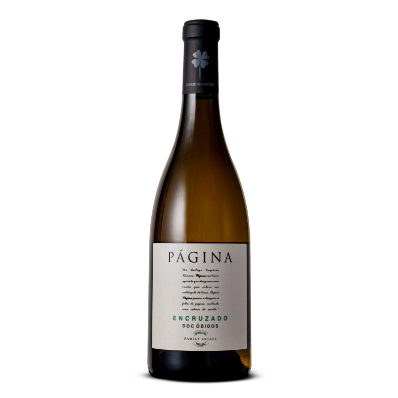 Pagina Encruzado 2021 White Wine