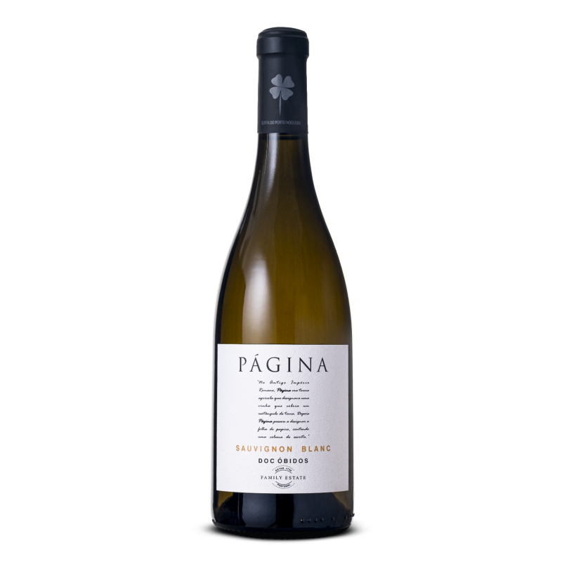 Pagina Sauvignon Blanc 2020 White Wine