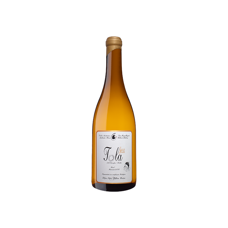 Filipa Pato Nossa Tola 2019 White Wine