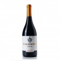 Caladessa Syrah 2020 Red Wine