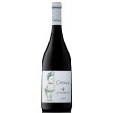 Pormenor Canuco 2019 Red Wine