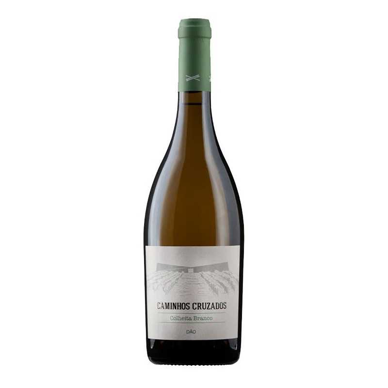 Caminhos Cruzados 2020 White Wine