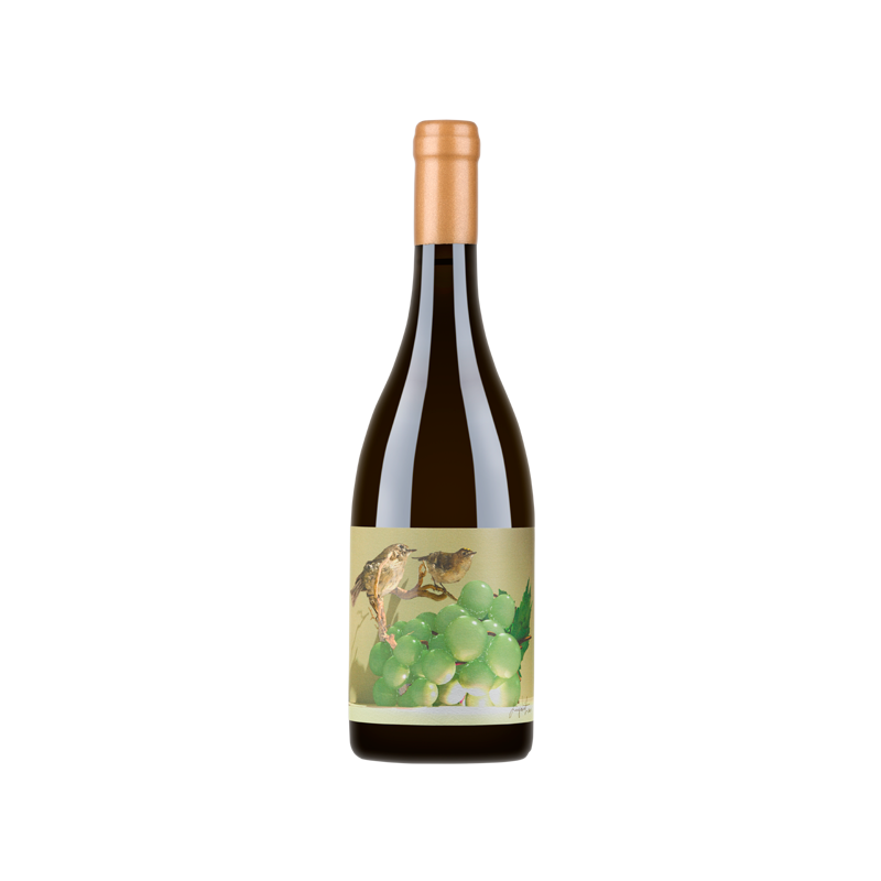 Soalheiro Alvorone 2020 White Wine