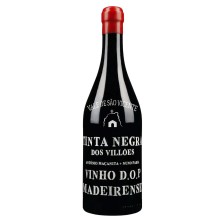 Tinta Negra Vale de São Vicente 2022 Red Wine