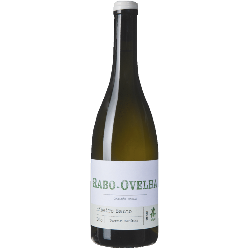 Ribeiro Santo Rabo de Ovelha 2020 White Wine