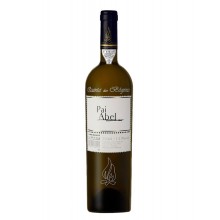 Quinta das Bágeiras Pai Abel 2022 Rosé Wine
