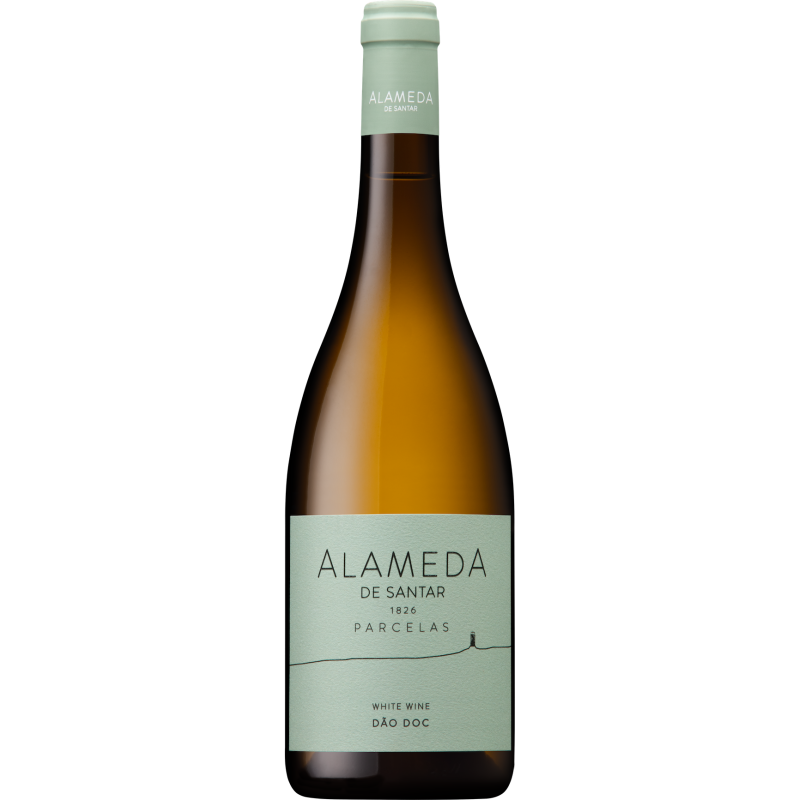 Alameda de Santar Parcelas 2021 White Wine