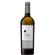 Pinta Negra Reserva 2023 White Wine