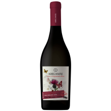 Adega Mãe Organic & Regenerative 2022 Red Wine