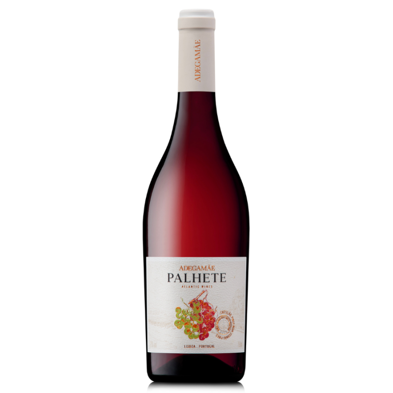 Adega Mãe Palhete 2023 Red Wine