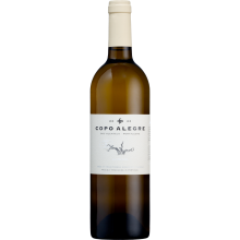 Copo Alegre Vinhas Velhas 2020 White Wine