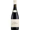 Ximena 2021 Red Wine