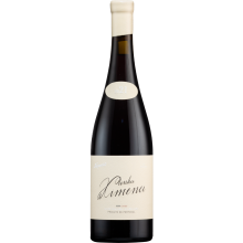 Ximena 2021 Red Wine