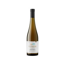 Genese Terroir Montanha 2024 White Wine