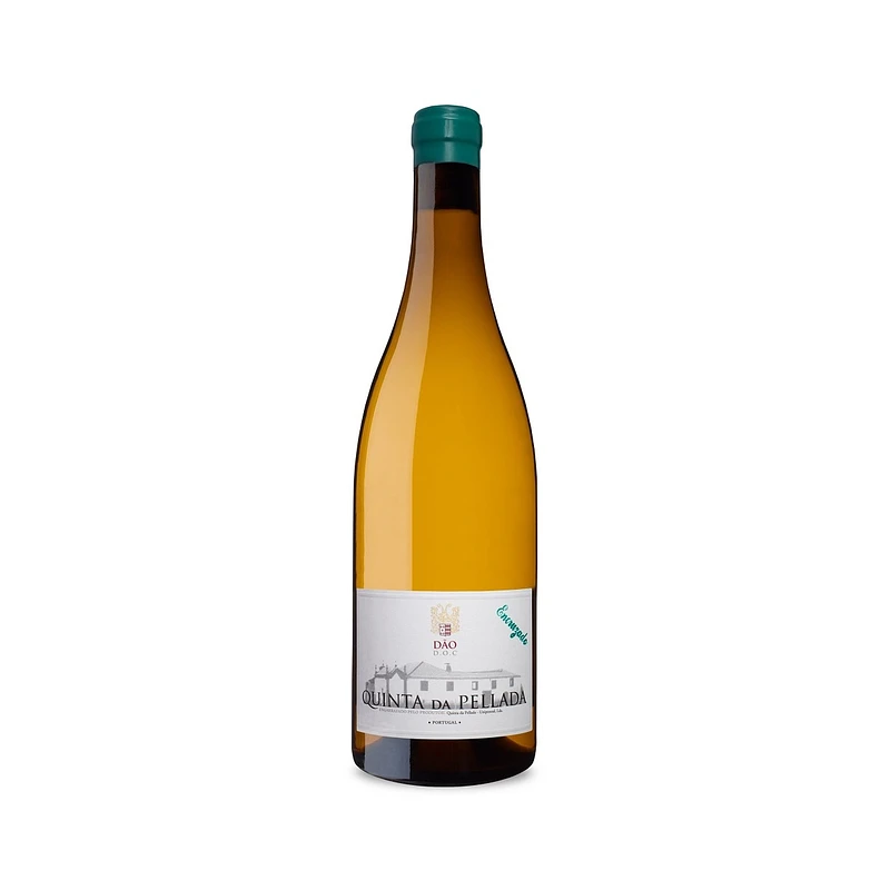 Quinta da Pellada Encruzado 2022 White Wine