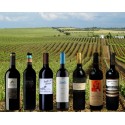 Special Alentejo Reds (12 bottles)