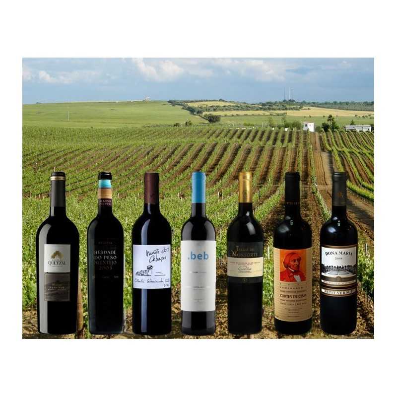 Special Alentejo Reds (12 bottles)