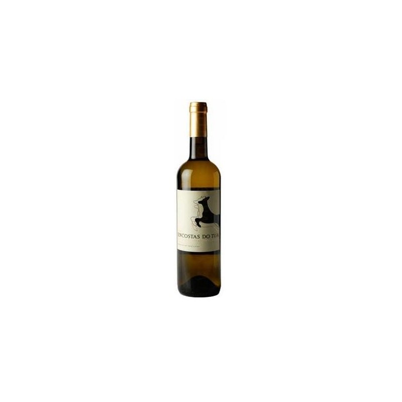 Encostas do Tua 2013 White Wine