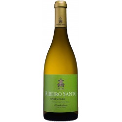 Ribeiro Santo Encruzado 2019 White Wine