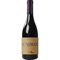 Cabriz Touriga Nacional 2016 Red Wine