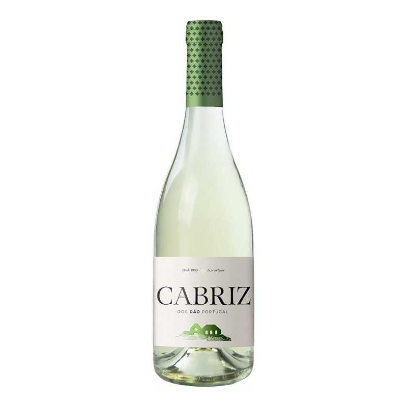 Cabriz Colheita Seleccionada 2019 White Wine