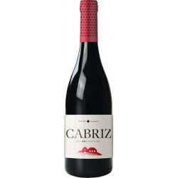 Cabriz Colheita Selecionada 2016 Red Wine