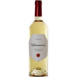Humanitas Reserva 2019 White Wine