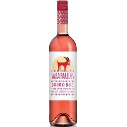Salta Paredes 2016 Rosé Wine
