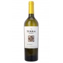 Terra D'Alter Reserva 2015 White Wine