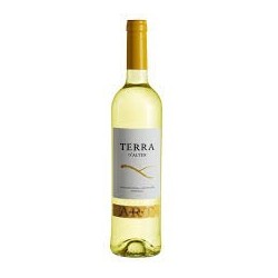 Terra D'Alter Arinto 2012 White Wine