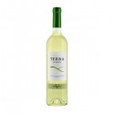 Terra D'Alter Verdelho 2015 White Wine