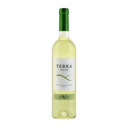 Terra D'Alter Verdelho 2015 White Wine