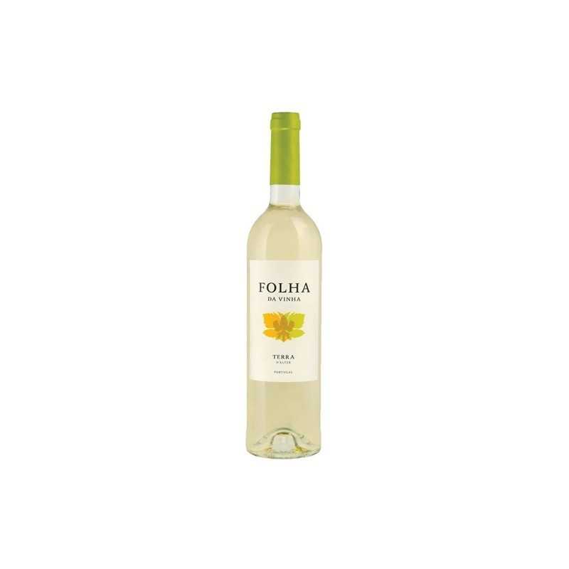 Folha da Vinha 2015 White Wine